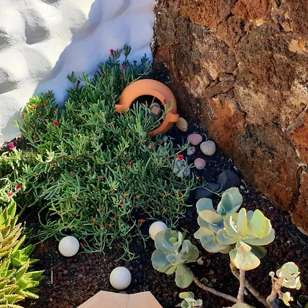 Casa Lirio كوستا كالما