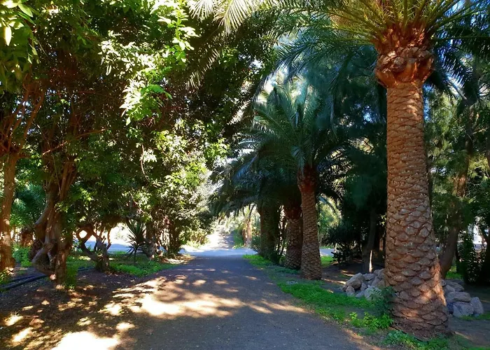 شقة Casa Lirio كوستا كالما