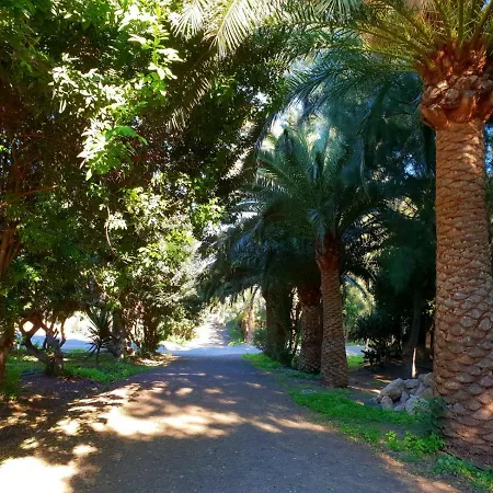 Апартаменты Casa Lirio Коста Калма